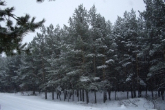 февраль