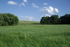 IMGP0071-1
